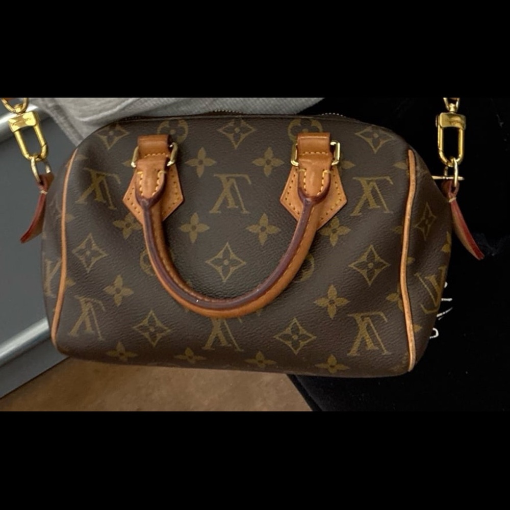 Louis Vuitton Monogram Handbag (Speedy 20)